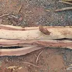 محافظة الغزاله