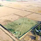 مزرعة للبيع في حائل