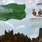 مصمم فيديوهات احترافي