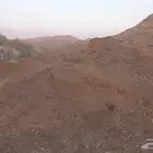 سماد ابقار نظيف