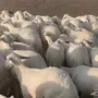 ضان محص للبيع