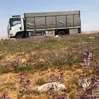 دنا دنا نقل العفش ولبضايع جميع نحا المملكه