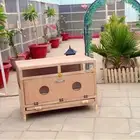 حضانه صيصان دجاج جديده