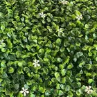 عشب جداري عرض خاص