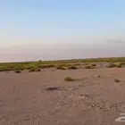 مطلوب حوش كبير او ارضيه في الفضيله الشعبي