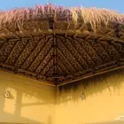 توريد البامبو الافريقي و الأندونيسي