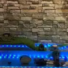 تقسيط تابي تفصيل حوض سلاحف