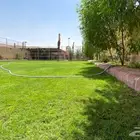 شاليهات للايجار اليومي