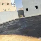 الرياض
