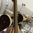 عود زرياب 3 عراقي