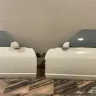 بيبان زد اكس فورسيت