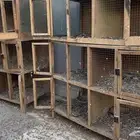 محاكر حمام