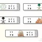لوحه مميزه رقمين 79