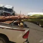 نخل وشنطني زينه للفل والقصور