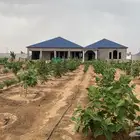 استراحة ومزرعه تم البيع