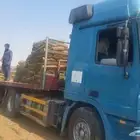 انجيله ثيل طبيعي