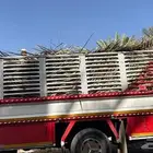 جريد حملة دنا سوبر جامبو