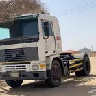 فلفو للبيع