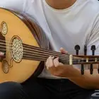 فنان وعازف عود