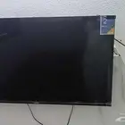 تيماء
