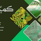 برسيم حجازي مستورد من مصر