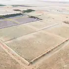 مزرعة للبيع بالقصيم