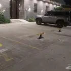 جهاز حاجز مواقف السيارات مطبات بوابات مواقف السيارات