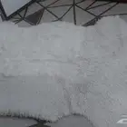 سجاد وكنب للبيع