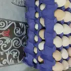 بيض بلدي مخصب للبيع