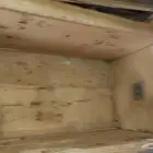 بقايا منحله