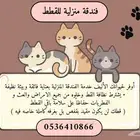 فندقة قطط