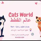 فندقة و عناية كاملة بالقطط