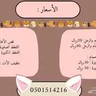 فندقة قطط