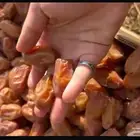 تمر صفري حبه صغير وسط