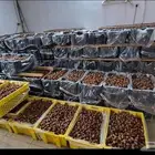 خلاص الزلفي 2 طن تزيد وتنقص