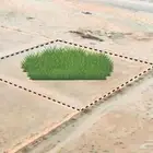 مزرعة للبيع بالقصيم