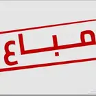 كناري سوري تغريد نار