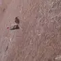 للبيع في القنفذة 