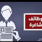 خدمات إلكترونيه تقديم وظائف حكوميه و قطاع خاص