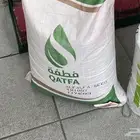 بذر امريكي شرط وأمانه انه اصدر هالسنه و انه غير مضروب