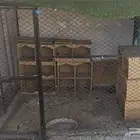 قفص طيور وحمام