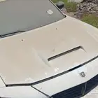 للبيع كبوت تشارجر SRT 2010