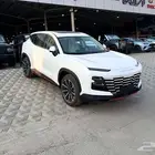 جيتور داشينج فل كامل 2025