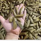 عود