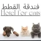 فندقة قطط وطيور