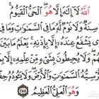 معلمة ابتدائي تاسيس اطفال