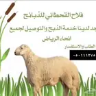 طليان بريه