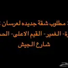 مطلوب شقة 4 غرف جديده