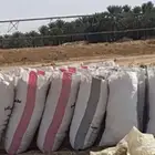 اعلاف300 كيس برسيم وتبن وذرة