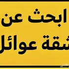 مطلوب شقه للإيجار مقبل علي زواج